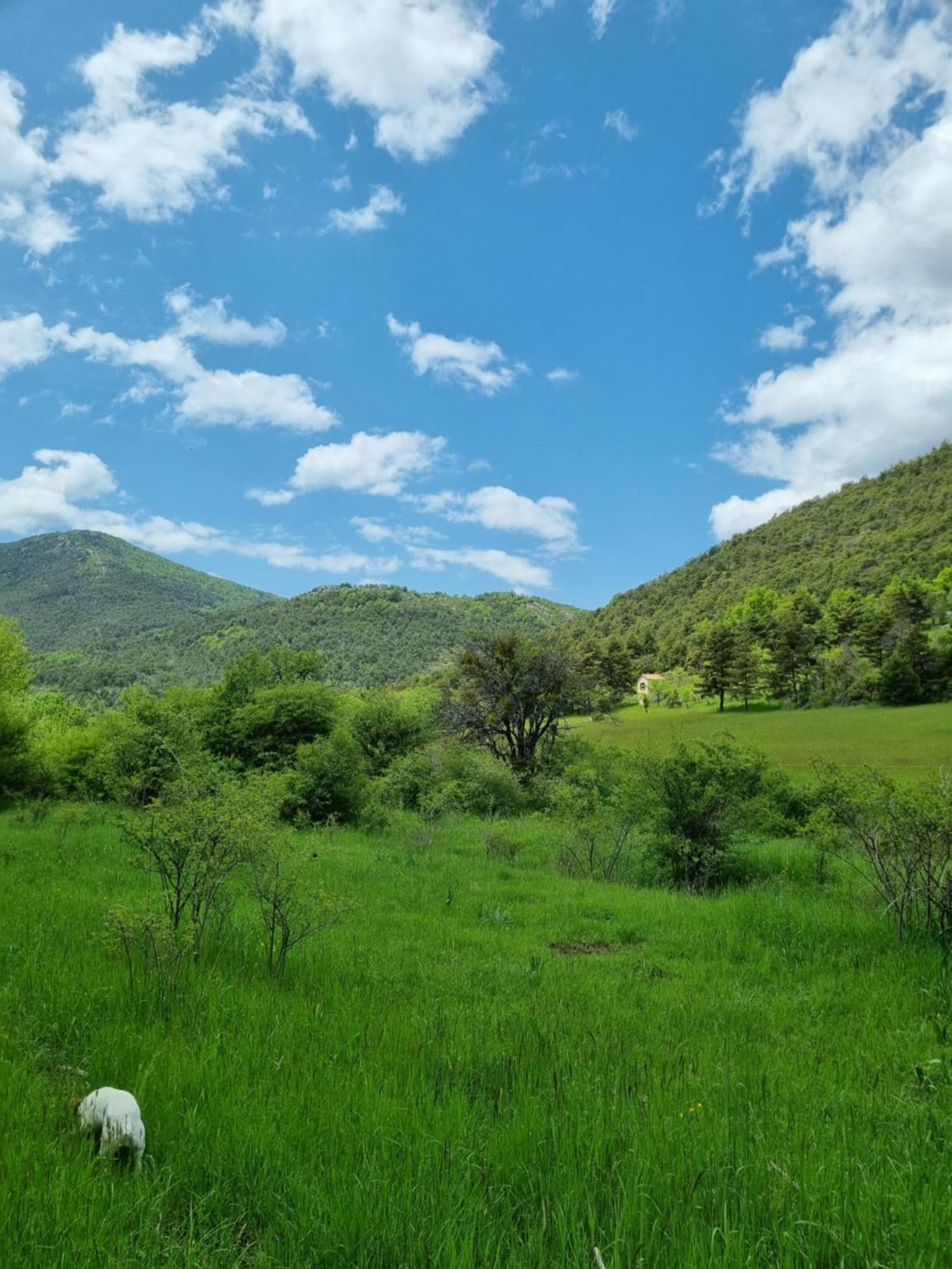 Roulotte Du Domaine De La Graou